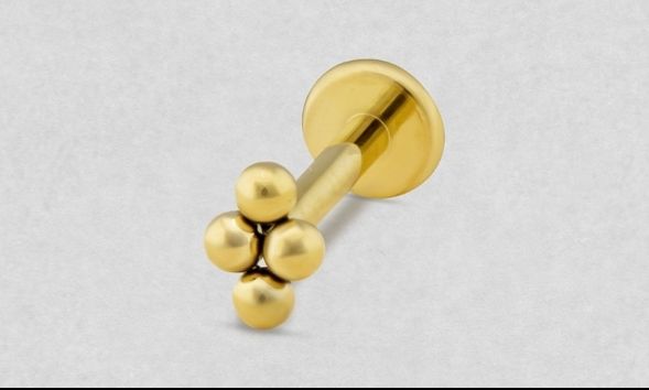 NIDO GOLD